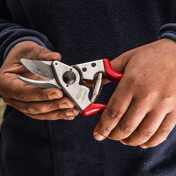 Baumschere FELCO 16, Linkshänder, 19.5 cm lang