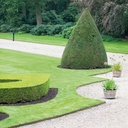 Randbegrenzung Stahl feste Zacken, rostig, 2.5 mm x 10 cm, 225 cm lang