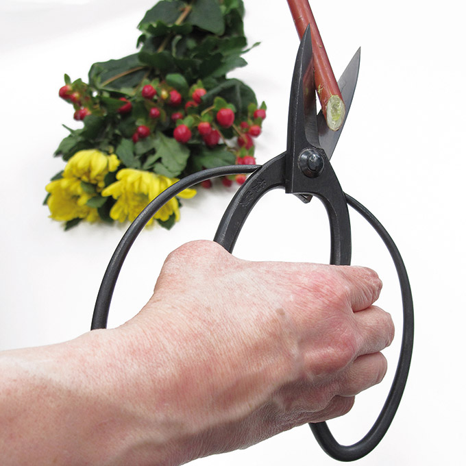 Japaner Bonsaischere KORYU