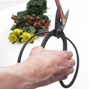 Japaner Bonsaischere OKUBO