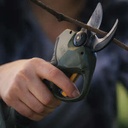 Akku-Gartenschere ALPEN