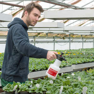 Druckspeicher-Sprühgerät BIRCHMEIER SUPER STAR, Füllinhalt 1.25 Liter