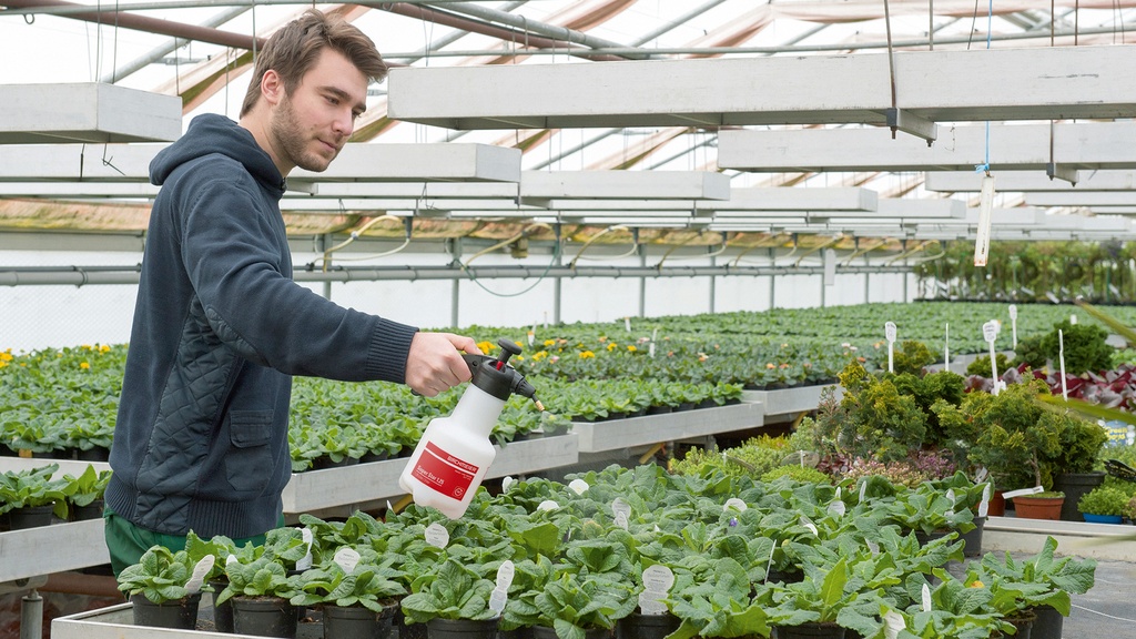 Druckspeicher-Sprühgerät BIRCHMEIER SUPER STAR, Füllinhalt 1.25 Liter
