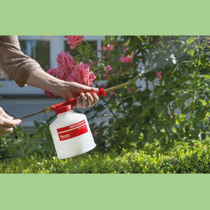 Handsprühgerät BIRCHMEIER FLORAJET, Füllinhalt 1 Liter