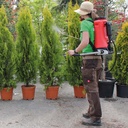 Akku-Sprühgerät BIRCHMEIER REC 15 AC1, Füllinhalt 15 Liter