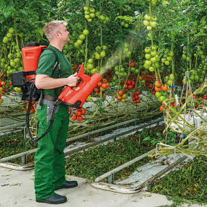 Akku-Sprühgebläse BIRCHMEIER AS 1200 AC1