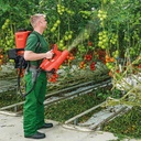 Akku-Sprühgebläse BIRCHMEIER AS 1200 AC1