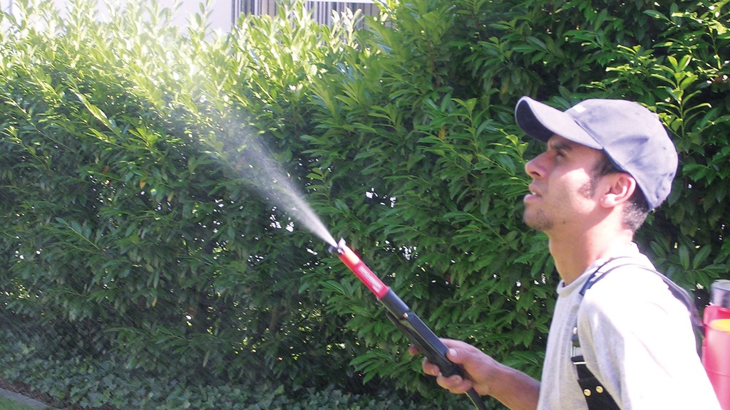 Werfer BIRCHMEIER VARIO GUN