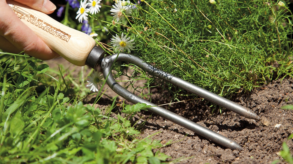 Rosengabel mit Eschengriff