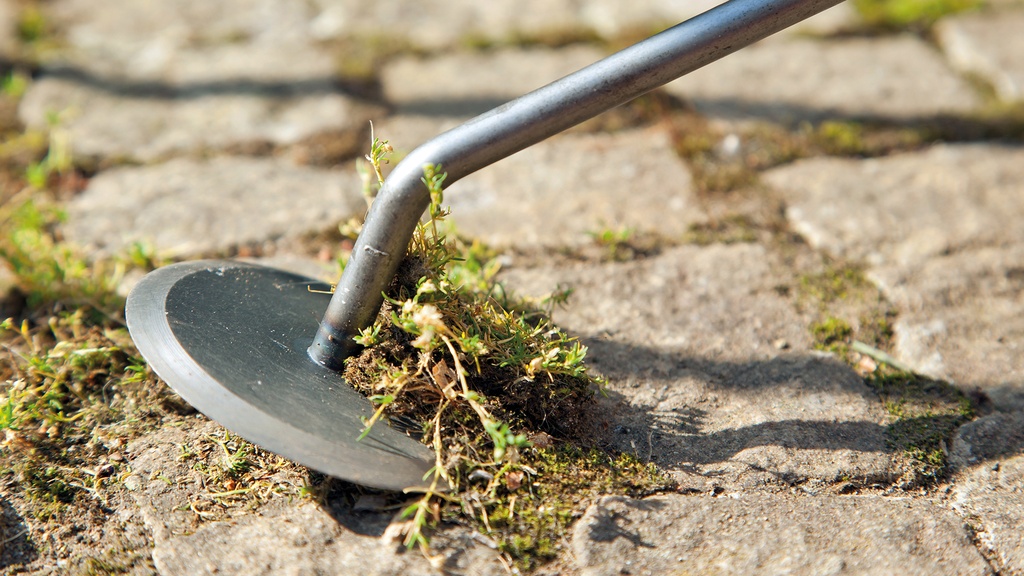 Gartendisk (Unkrautmesser)