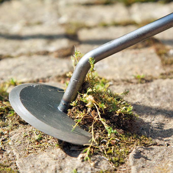 Gartendisk (Unkrautmesser)