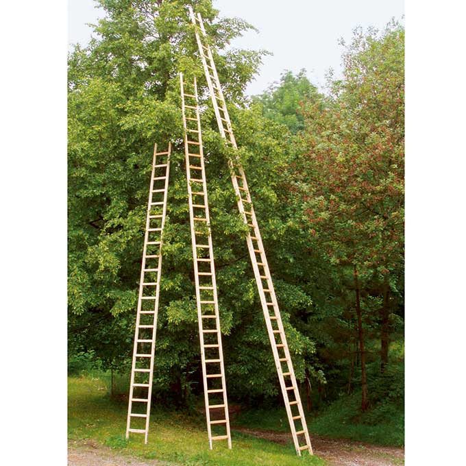 Baumleiter GUBLER aus Holz, 27 Sprossen, 7.35 m