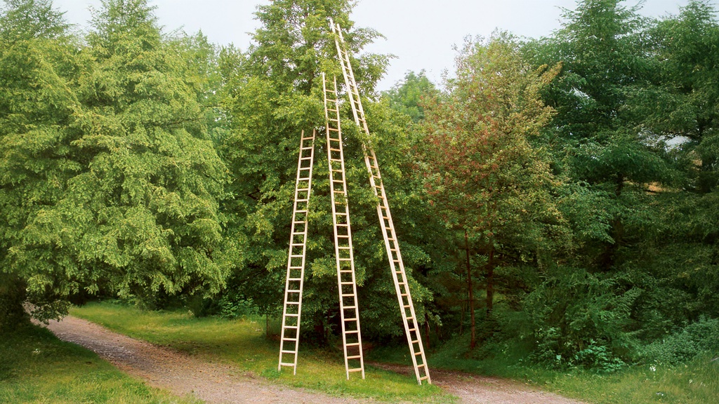 Baumleiter GUBLER aus Holz, 30 Sprossen, 8.15 m
