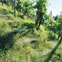 Böschungstritt doppelt