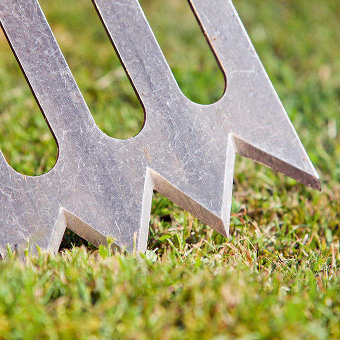 Gärtnerspaten SPORK, Blattgrösse 25x15.5 cm