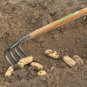 Kräuel GLORIA-Spezial 4 Zinken, Länge der Zinken 18 cm