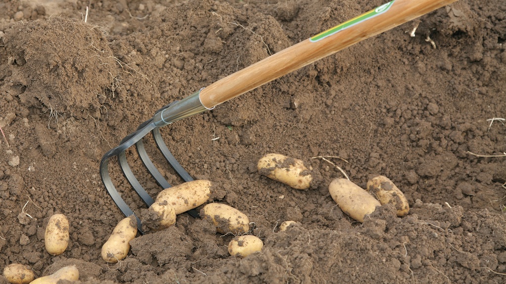 Kräuel GLORIA-Spezial 4 Zinken, Länge der Zinken 18 cm