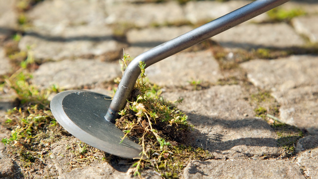 Gartendisk (Unkrautmesser)