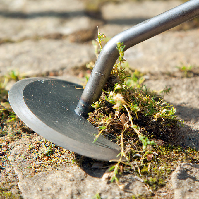 Gartendisk (Unkrautmesser)