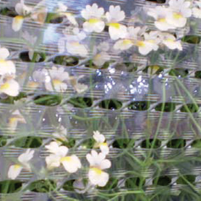 251.430_Perfostretch LITE MICRO 9 my, 41 cm breit, 250 m