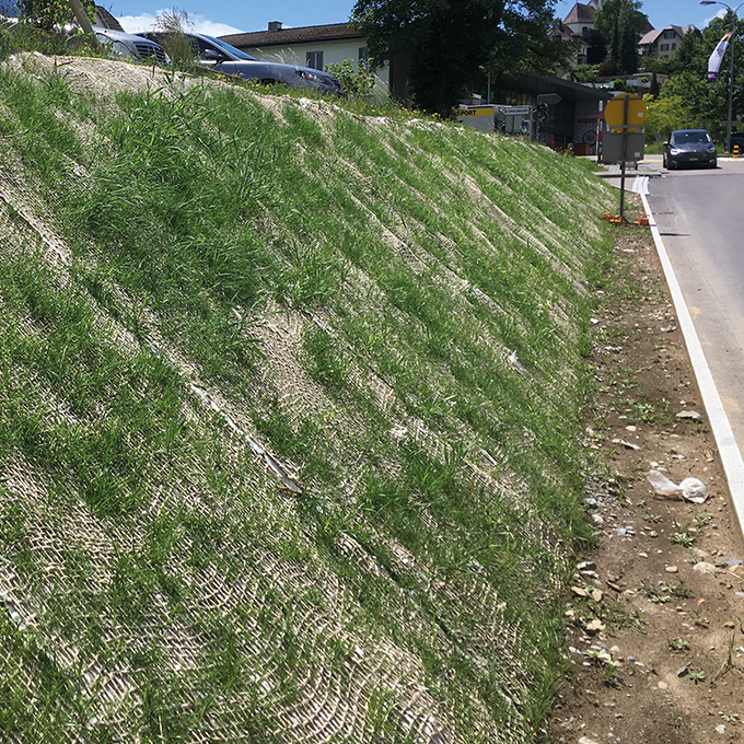 137.470_Samenmatte greentex®, 20 m lang, 120 cm breit