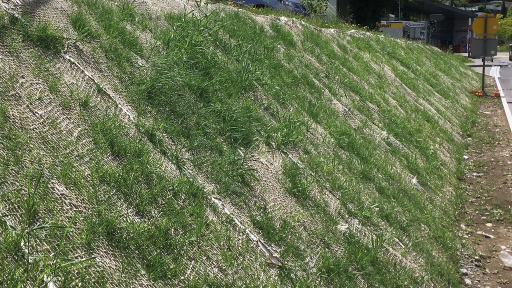 137.470_Samenmatte greentex®, 20 m lang, 120 cm breit