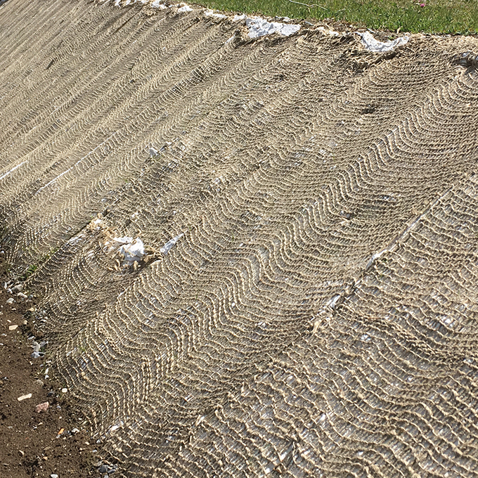 137.470_Samenmatte greentex®, 20 m lang, 120 cm breit