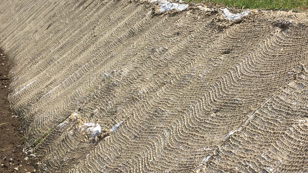 137.470_Samenmatte greentex®, 20 m lang, 120 cm breit