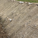 137.470_Samenmatte greentex®, 20 m lang, 120 cm breit