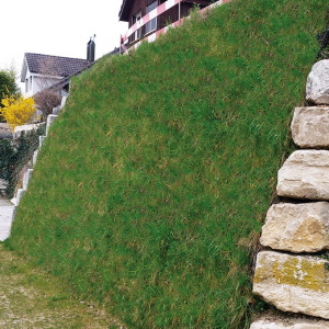 137.490_Erosionsschutz-Begrünungsmatte vorbesät 500 g/m2, 205 cm breit, Rolle à 45 m