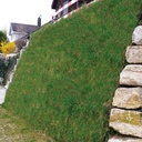 137.490_Erosionsschutz-Begrünungsmatte vorbesät 500 g/m2, 205 cm breit, Rolle à 45 m