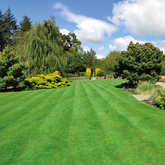 350.002_Rasensamen STEFFEN Play, Sack à 10 kg