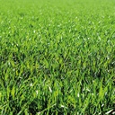 370.023_Rasendünger QUALI-GREEN Opti, Sack à 25 kg