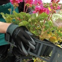 282.570.08_Floristenhandschuh SHOWA PALM FIT schwarz, Grösse 8