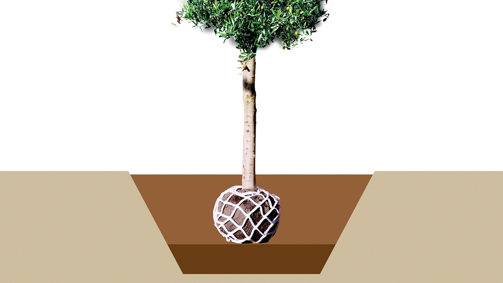202.741.1_Vlies-Anwachsnetz LITE-NET BIO1 L, 150x80 cm