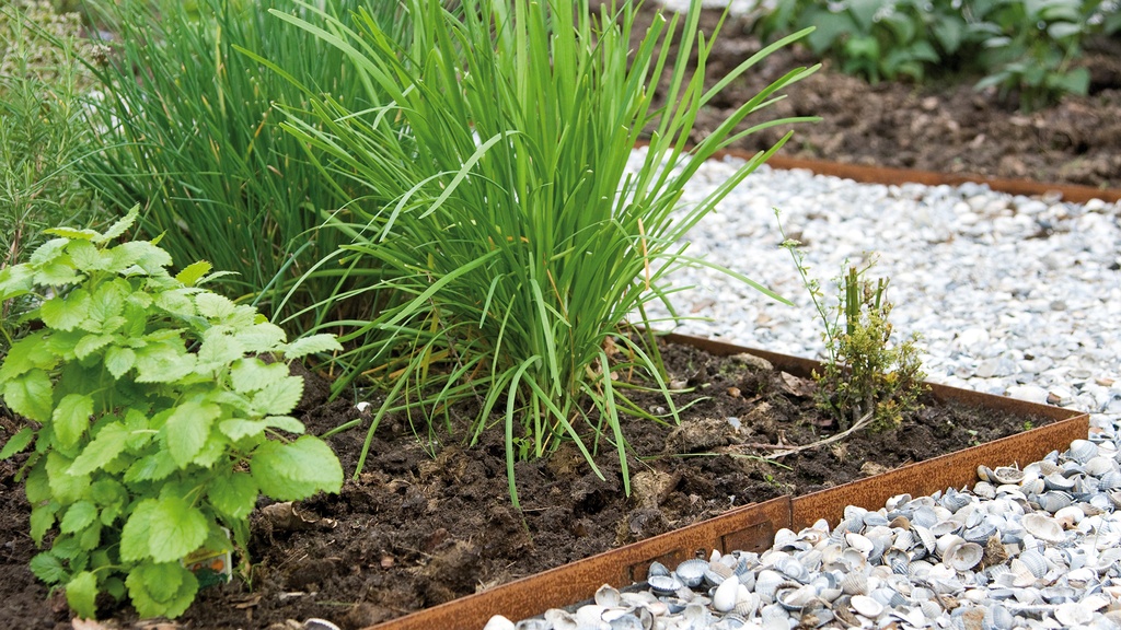 Randbegrenzung Stahl unbeschichtet rostig 3 mm x 15.2 cm