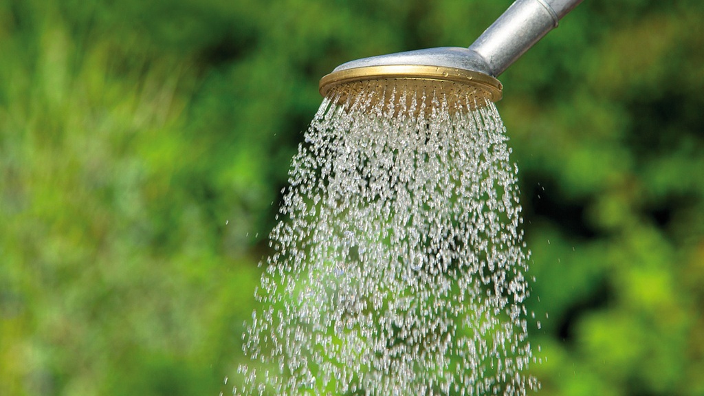 154.300_Rundbrause SCHNEIDER