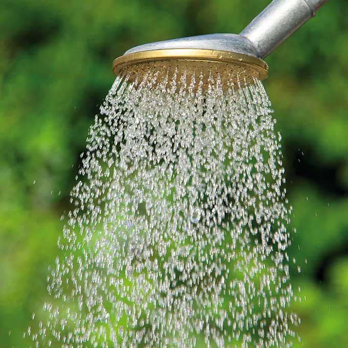 154.300_Rundbrause SCHNEIDER