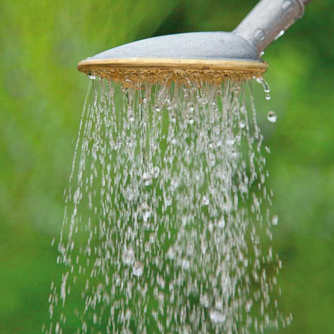 154.310_Löffelbrause SCHNEIDER