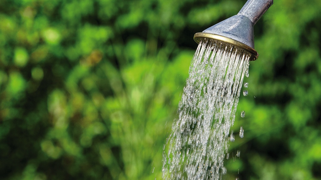 154.320_Topfbrause SCHNEIDER