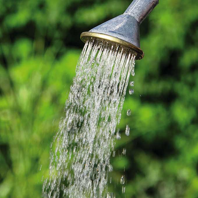 154.320_Topfbrause SCHNEIDER