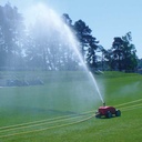 155.600_Rollcar T-V PERROT