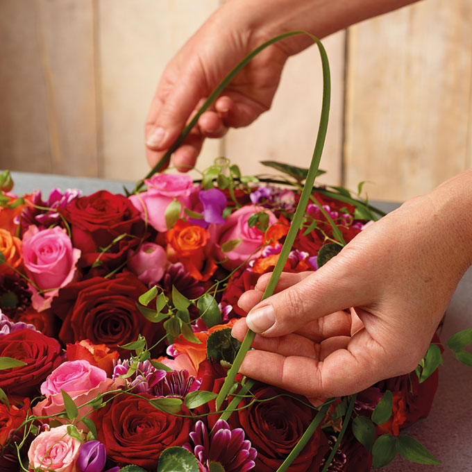 231.800_OASIS® BIOLIT® Herz 17 x 17 x 4 cm 4 Stück