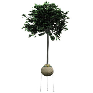 Wurzelballenverankerung GRIPPLE PRBK 4 mit Erdanker