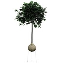 Wurzelballenverankerung GRIPPLE PRBK 5 mit Erdanker