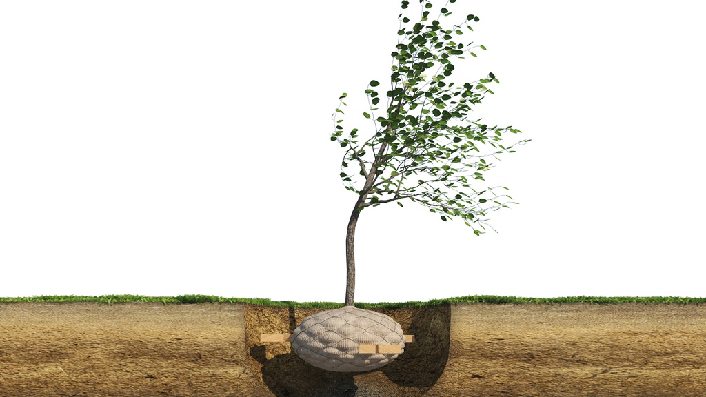 Wurzelballenverankerung ARBRETIO®