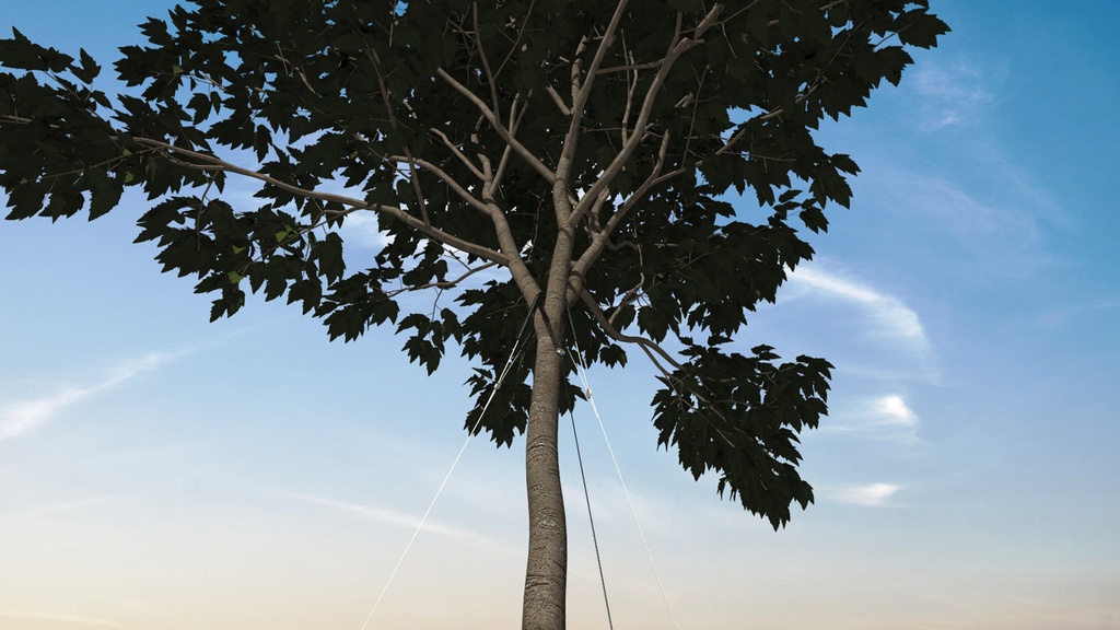 Baumverankerung GRIPPLE TGK 4