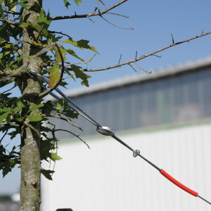 Baumverankerung, Baumhöhe 4-7 m