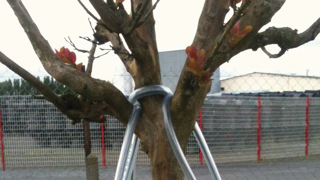 Baumverankerung, Baumhöhe 4-7 m