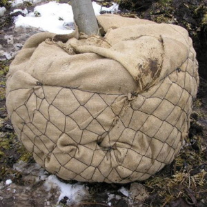 Ballierungsnetz aus Draht, Ø 45 cm (No. 1), Pack à 50 Stk.